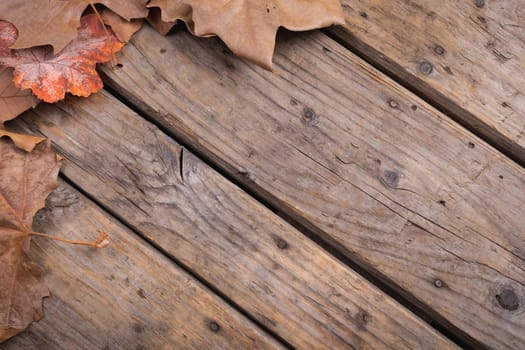 Composition of fall autumn dry leaves with copy space on rustic wooden surface. fall autumn tradition and celebration concept digitally generated image.