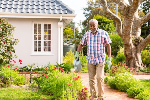 African american senior man watering plants in backyard. active retirement lifestyle at home and garden.