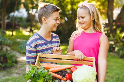 Happy caucasian brother and sister in garden holding box of fresh organic vegetables. gardening, self sufficiency and growing home produce.