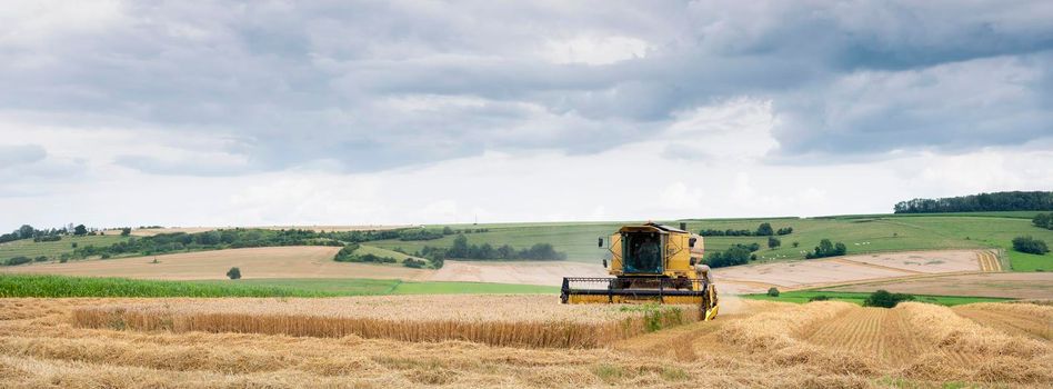 rural landscape of northern france with combine during harvest in french countryside landscape near charleville in french ardennes