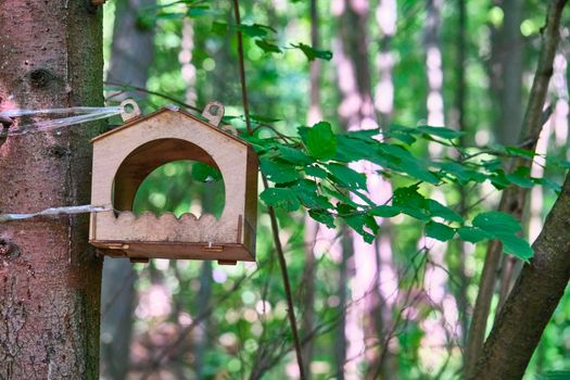 bird feeder in the city park. general plan