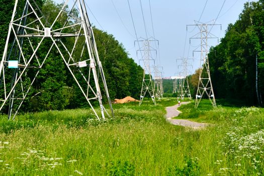 A long line of electrical transmission towers carrying high voltage lines.