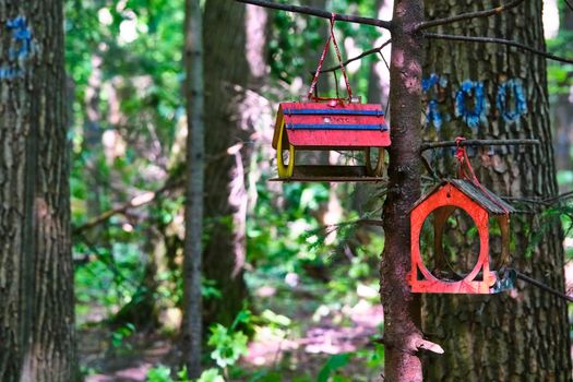 bird feeder in the city park. general plan