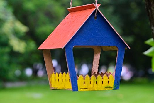 bird feeder in the city park. general plan