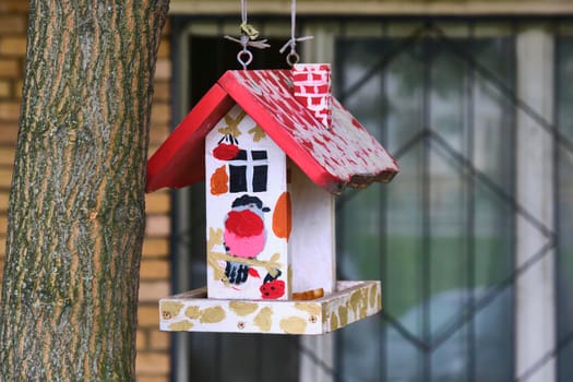 Bird feeder hangs on tree branch. general plan.