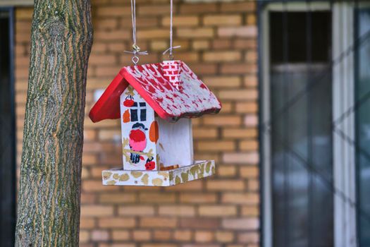 Bird feeder hangs on tree branch. general plan.