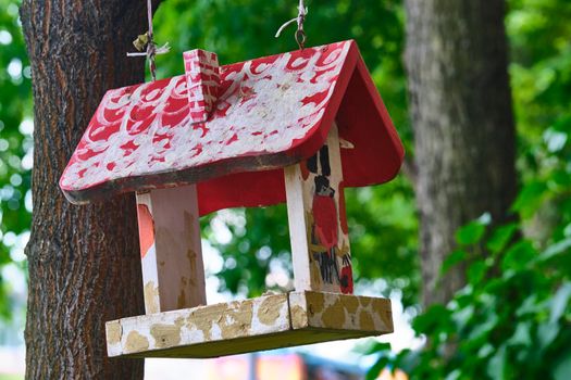 Bird feeder hangs on tree branch. general plan.