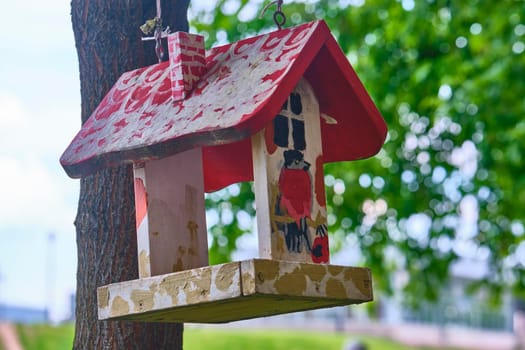 Bird feeder hangs on tree branch. general plan.