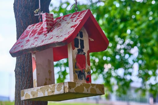 Bird feeder hangs on tree branch. general plan.