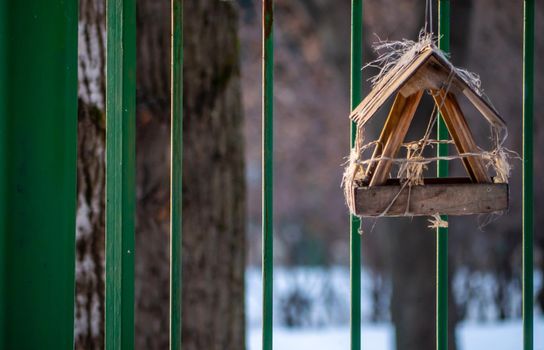 homemade bird feed in winter city park