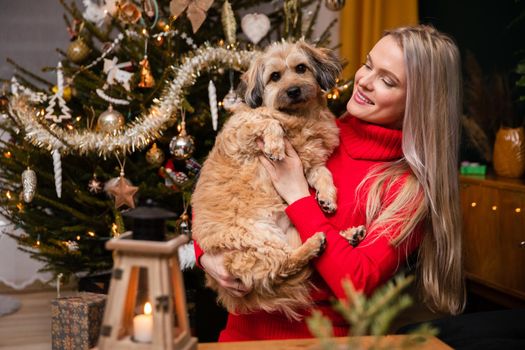 Smiling attractive woman stands in front of Christmas tree and on her hands she holds mongrel dog. Christmas tree decorated for Christmas.