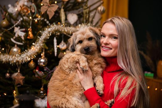 Smiling attractive woman stands in front of Christmas tree and on her hands she holds mongrel dog. Christmas tree decorated for Christmas.