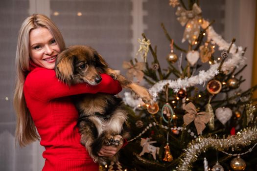 Smiling attractive woman stands in front of Christmas tree and on her hands she holds mongrel dog. Christmas tree decorated for Christmas.