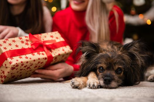 Mom and daughter with smiles on their faces lie on the carpet with gifts in their hands. A multi-breed dog lies next to the girls.