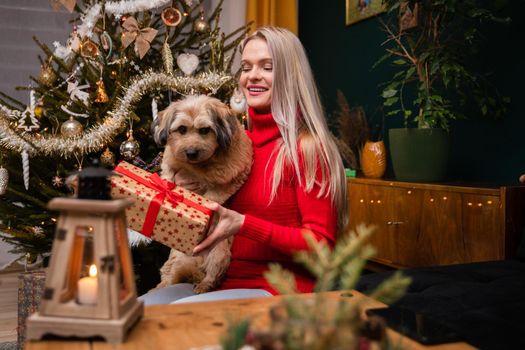 During Christmas, dogs also get gifts. A smiling woman holds a mongrel breed dog in her arms.