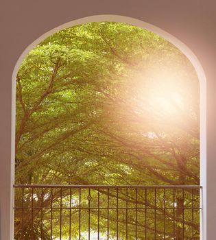 tree branches garden from arch window balcony in morning time