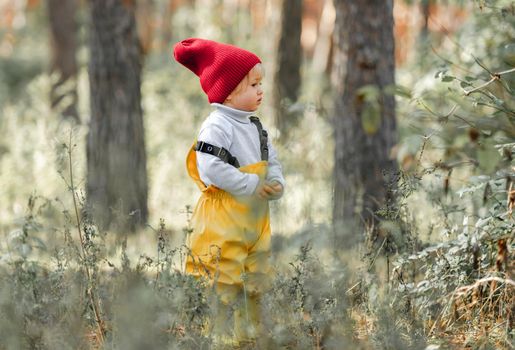 Little cute child girl portrait in the autumn forest. Cute female kid wearing red hat and yellow overall standing at nature outdoors