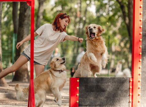 Girl with two golden retriever dogs playing in the park. Female teenager with purebred pets outdoors