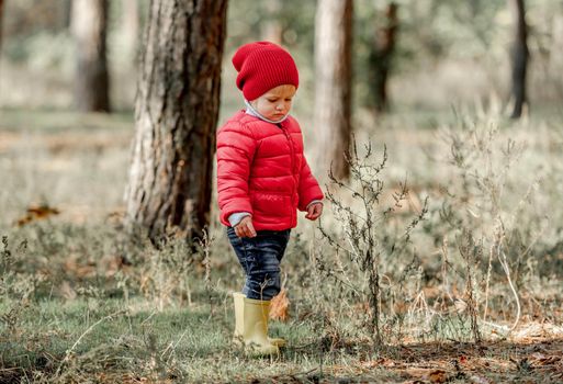 Little girl child walking in the forest at autumn . Female kid at nature outdoors
