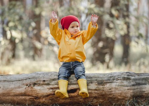Little girl child sitting on log with hands up. Female kid portrait at nature