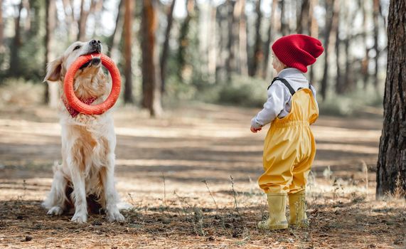 Little girl child playing with golden retriever dog holding rubber toy in its mouth in the forest. Cute female kid with doggie pet at nature together