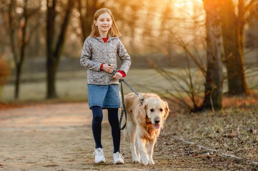 Preteen girl with golden retriever dog walking in park in beautiful spring autumn day. Adorable female child kid with doggy pet outdoors
