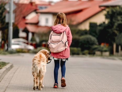 Preteen girl with backpack on her back with golden retriever dog walking down street . Child kid in pink jacket with purebred labrador dog outdoors