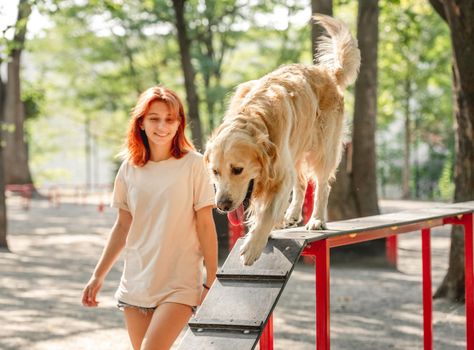 Teen girl training golden retriever dog in the park. Beautiful female person with pet labrador outdoors