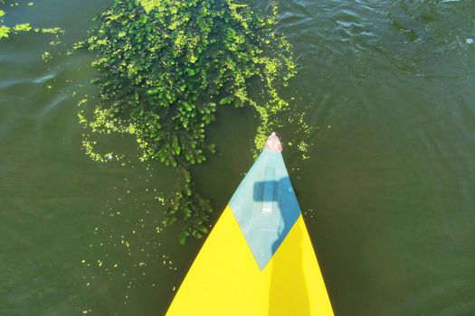 A paddle for rowing yellow in the hands of a girl while kayaking on the river with beautiful seaweed