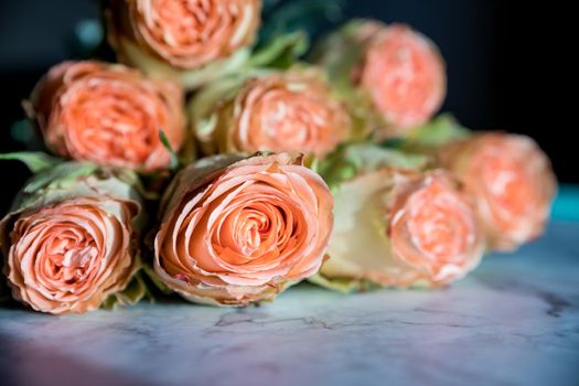 Beautiful english roses flowers in their natural garden Environment with green leaves in the Background in the sunshine