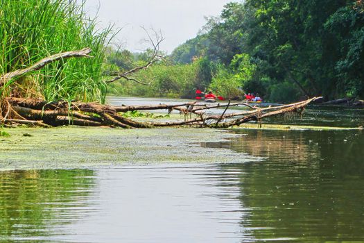 A couple of men and women kayak on the river in the summer. Active recreation, family travel, extreme adventure, sports and ecological domestic tourism.