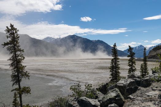 Kluane Lake Desertification of boreal dry glacier bed.