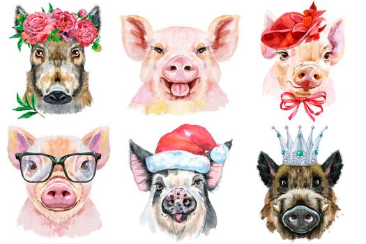 Watercolor illustration of pigs in wreath of peonies, glasses, Santa hat, silver crown, in red hat