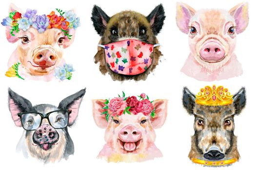 Watercolor illustration of pigs in wreath of peonies, glasses, medical mask and golden crown