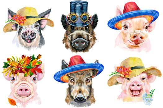 Watercolor illustration of pigs in wreath of autumn leaves, sombrero, summer hat, top hat with steampunk glasses