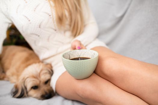 A mongrel dog lies on the sofa. Aromatic coffee in a porcelain cup in a woman's hands. The love of coffee and relaxation in the comfort of home.