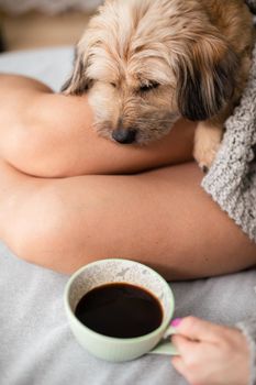 A multiracial dog reclined on a woman's shapely legs and stares at a porcelain coffee cup. Free time spent with her pet.