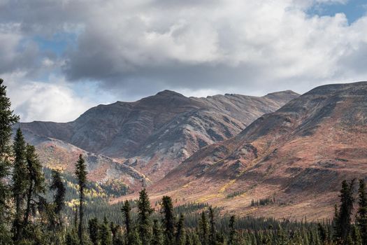 Tombstone Provincial Park in vivid magenta fall colors