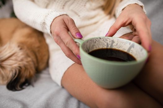 A mongrel dog lies on the sofa. Aromatic coffee in a porcelain cup in a woman's hands. The love of coffee and relaxation in the comfort of home.