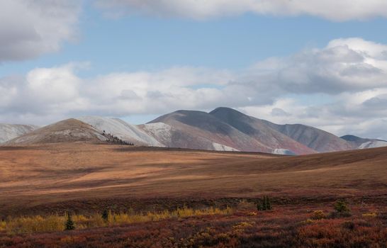 Yukon Territory wilderness in glorious orange and purple fall colors