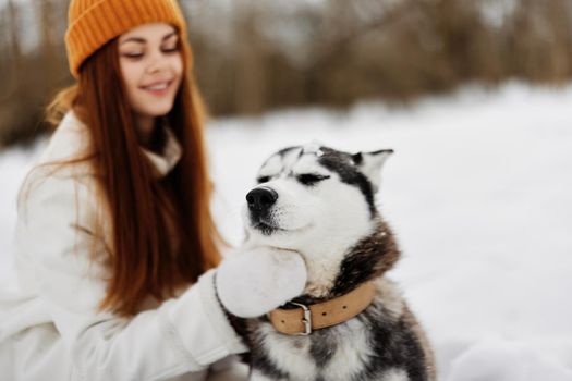 woman with a purebred dog on the snow walk play rest fresh air. High quality photo