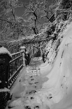 Climbing stairs on the street covered with snow in sunny weather, shadows from branches on the snow.