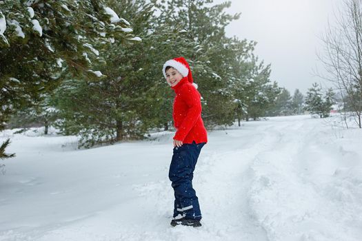 a happy teenager in a red sweater and a red santa claus hat walks in the winter in the park, near the pines in the snow, smiling. copy space