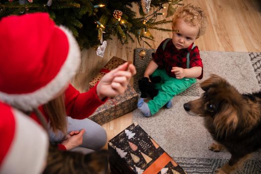 Mom and her two-year-old son are feeding a multi-racial dog in the living room right next to the Christmas tree. A boy with curly blond hair.