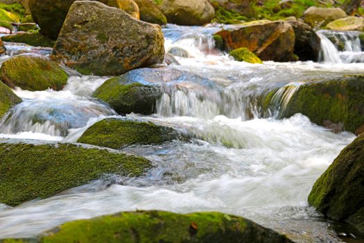 On the stones with green moss flows a cold clean river