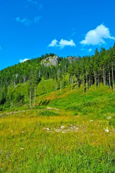 Beautiful green mountains on a sunny summer day