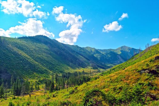 Scenic view of a mountain valley on a sunny summer day