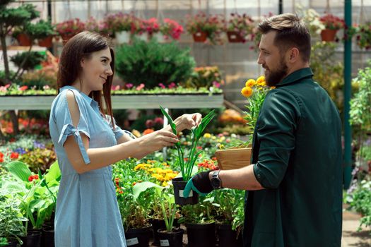 Garden centre worker selling potted plant to female customer