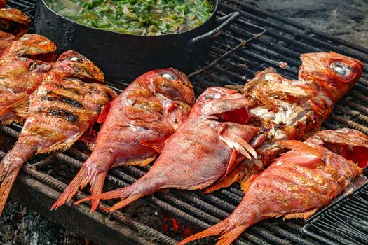 Preparing red fishes on the Grill