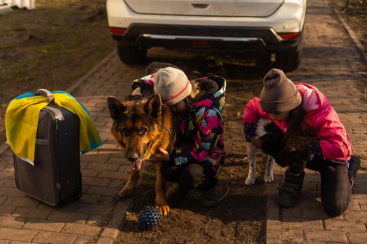 two little girls with the flag of ukraine, suitcase, dogs. Ukraine war migration. Collection of things in a suitcase. Flag of Ukraine, help. Krizin, military conflict